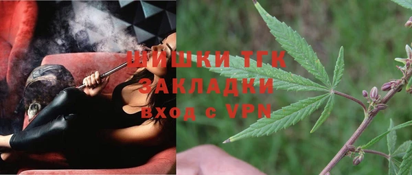 соль ск Вяземский