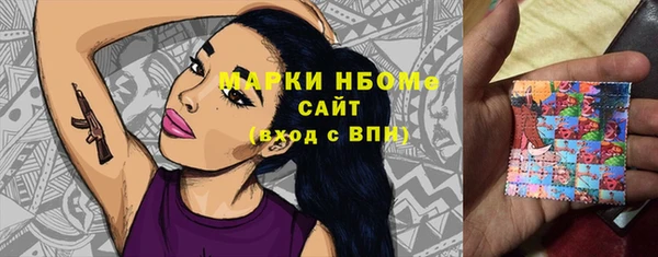 соль ск Вяземский