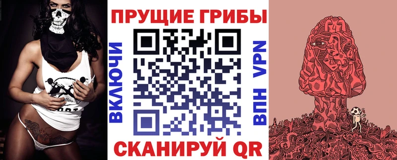 Псилоцибиновые грибы мицелий  Купить закладки  Петухово 